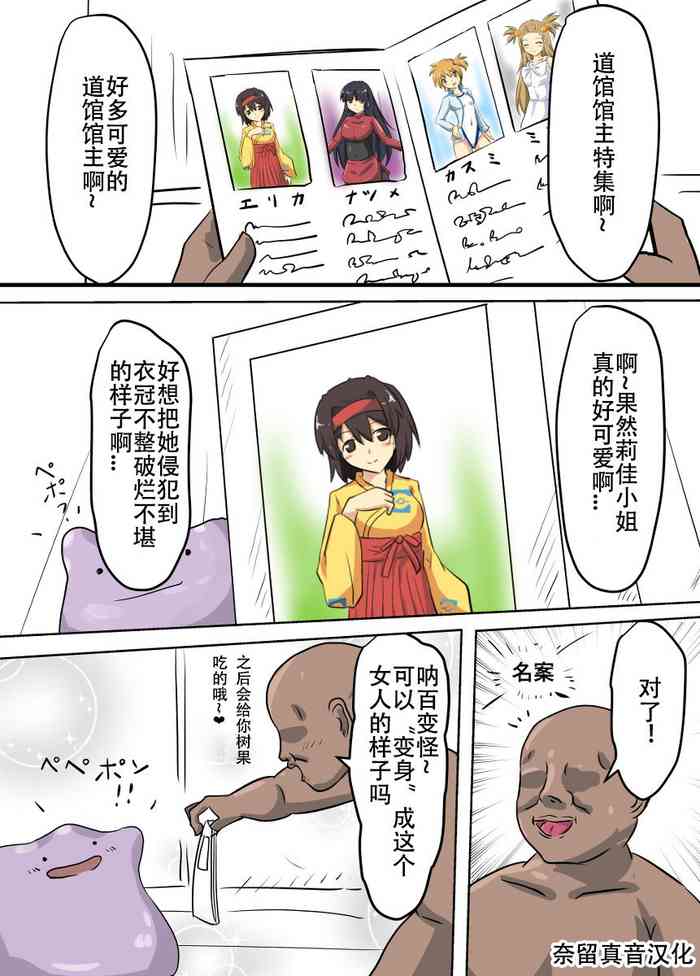 ぬぷ竜 メタモン合集