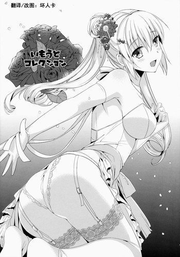 (COMIC1☆8) [abgrund (Saikawa Yusa)] IMOUTO COLLECTION Kakioroshi [Chinese] [坏人卡]