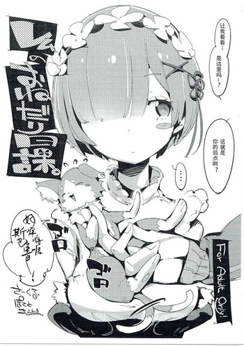 (C90) [Potato Salad (Kurisu)] Rem no Onedari Nikka. (Re:Zero kara Hajimeru Isekai Seikatsu) [Chinese] [confus汉化组]