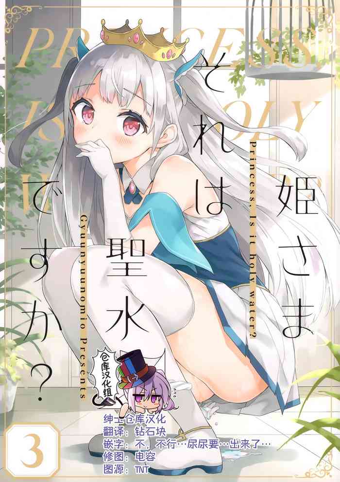 (Akihabara Chou Doujinsai) [Gyuunyuuya-san (Gyuunyuu Nomio)] Hime-sama Sore wa Seisui desu ka? 3 [Chinese] [绅士仓库汉化]