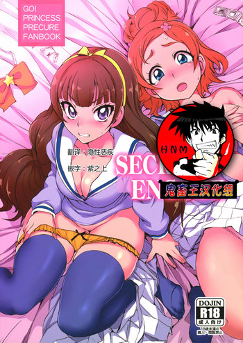 (C88) [50on! (Aiue Oka)] SECRET ENGAGE (Go! Princess PreCure) [Chinese] [鬼畜王汉化组]