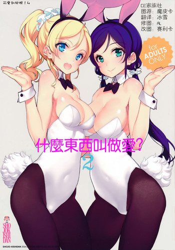 (C86) [Shoujo Kishidan (Oyari Ashito)] What is this thing called love? 2 (Love live!) [Chinese] [CE家族社]