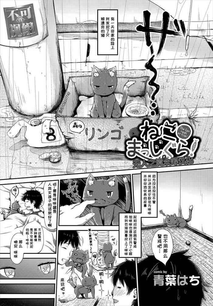 [青葉はち] ねこまっしぐら! (ケダモノ娘フレンズ その2) [Chinese] [无人之境x不可视汉化组]