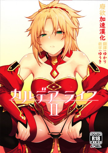 (C95) [Hirojuu Renshuuchou (Hiroya)] Chaldea Life II (Fate/Grand Order)[Chinese] [废欲加速汉化]