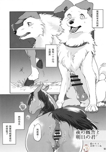 (Kemoket 6) [Mayoineko (Diga Tsukune)] Yoru no Kyuusha to Ashita no Kimi (MARE HOLIC 5) [Chinese] [呜喵个人汉化]